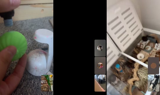 daisy_coco1 TikTok Live — Aug 5, 2026, 4:32 PM