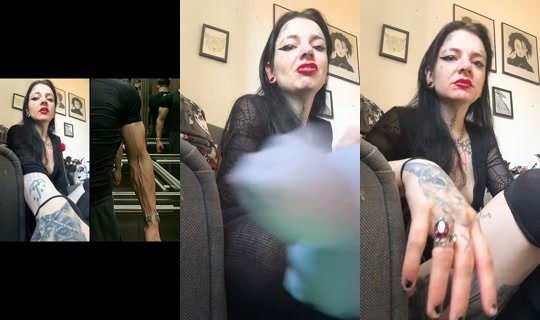 daniquinn1 TikTok Live — Sep 17, 2026, 9:42 AM