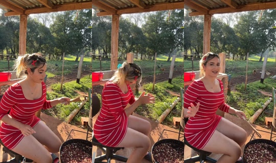 dannylu250 TikTok Live — Aug 7, 2026, 7:43 PM