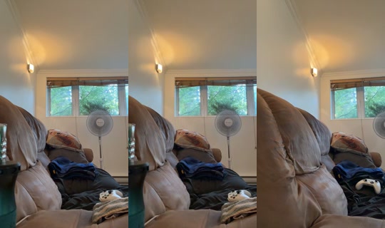daphneeperreault4 TikTok Live — Aug 18, 2026, 12:16 PM