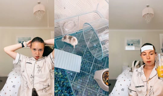 dasie_louise6 TikTok Live — Jul 12, 2026, 5:57 PM