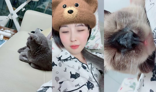 dd920311 TikTok Live — Aug 30, 2026, 10:21 AM