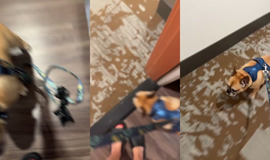 deannamarchese TikTok Live — Jul 10, 2026, 5:14 AM