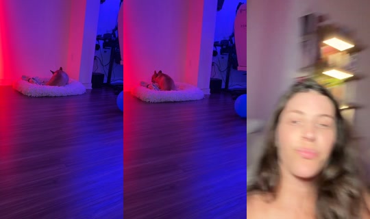 deannamarchese TikTok Live — Jul 13, 2026, 5:37 AM