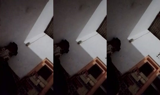 dedezee28 TikTok Live — Jul 14, 2026, 7:03 PM