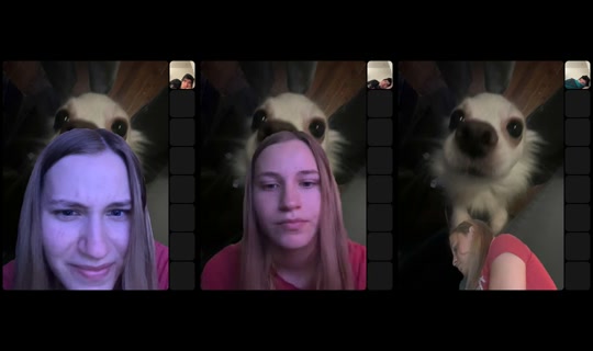 delusional.ky TikTok Live — Jul 14, 2026, 12:03 AM