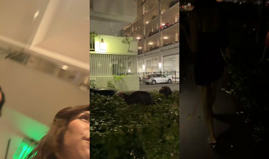 deniz.damla24 TikTok Live — Aug 11, 2026, 3:50 AM