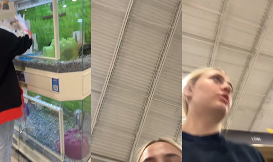 des.secret.2.0 TikTok Live — Jul 13, 2026, 8:57 PM