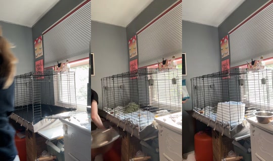 des.secret.2.0 TikTok Live — Jul 13, 2026, 9:55 PM