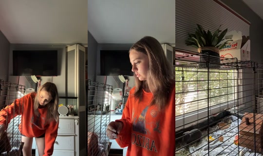 des.secret.2.0 TikTok Live — Jul 14, 2026, 2:58 PM