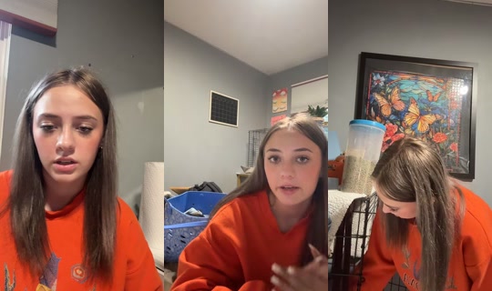 des.secret.2.0 TikTok Live — Jul 15, 2026, 12:41 AM