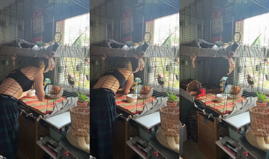 des.secret.2.0 TikTok Live — Jul 31, 2026, 3:45 PM