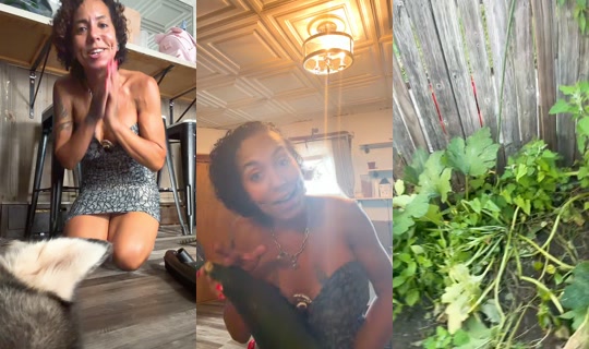 diamonds_fly508 TikTok Live — Aug 7, 2026, 7:53 PM