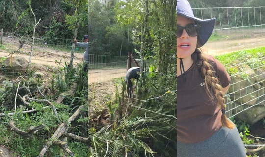 diariodeaventuras.br TikTok Live — Aug 22, 2026, 5:25 PM