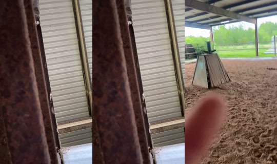 dizzymiss.lizzie TikTok Live — Jul 14, 2026, 9:13 PM