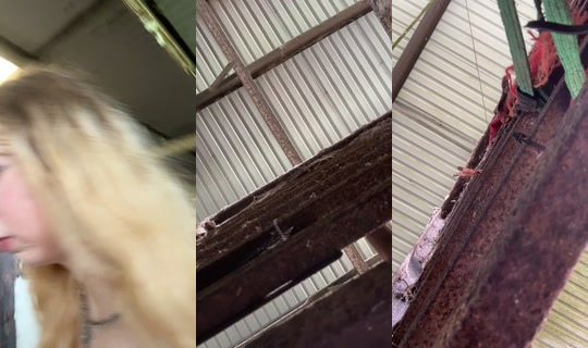 dizzymiss.lizzie TikTok Live — Jul 15, 2026, 2:49 PM