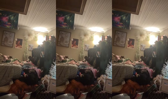 dizzymiss.lizzie TikTok Live — Jul 29, 2026, 9:02 PM