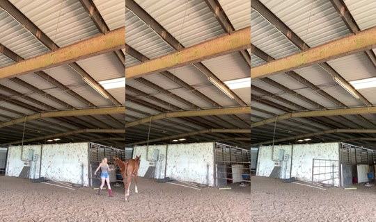 dizzymiss.lizzie TikTok Live — Jul 31, 2026, 2:07 PM
