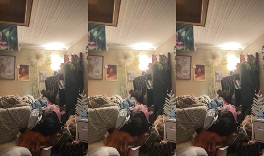 dizzymiss.lizzie TikTok Live — Aug 1, 2026, 1:08 PM