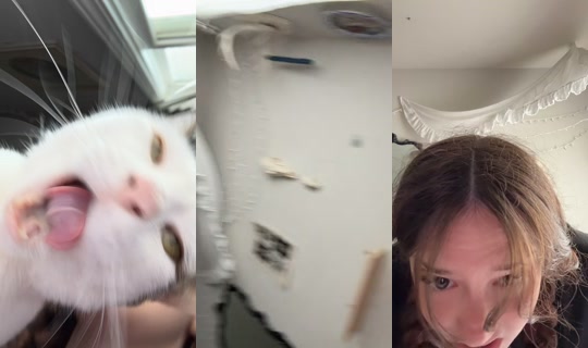 dont.suspend.me.a TikTok Live — Jul 12, 2026, 4:27 PM
