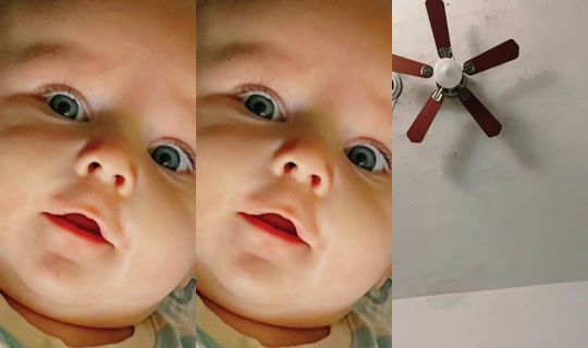 dreamsblueberry2.0 TikTok Live — Aug 1, 2026, 8:02 PM