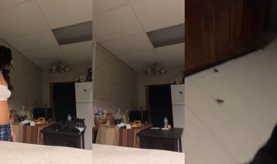 eanidvans2.0 TikTok Live — Aug 23, 2026, 5:49 AM