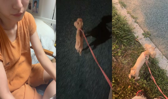 effy23715 TikTok Live — Jul 28, 2026, 1:38 PM