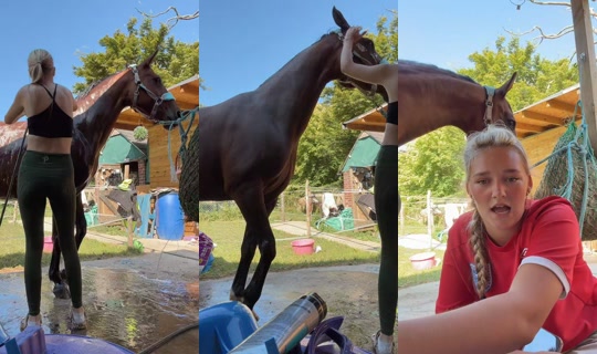 ellie_mainn TikTok Live — Jul 14, 2026, 3:09 PM