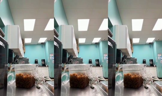 elyssakate4 TikTok Live — Aug 13, 2026, 2:00 AM