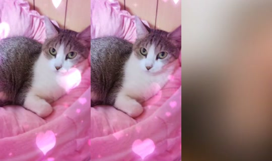 eri032811 TikTok Live — Aug 11, 2026, 7:08 AM