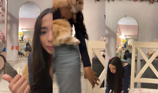 evssssssr TikTok Live — Sep 14, 2026, 3:59 AM