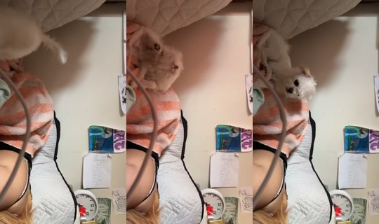 exotica_3mily TikTok Live — Jul 13, 2026, 9:28 PM