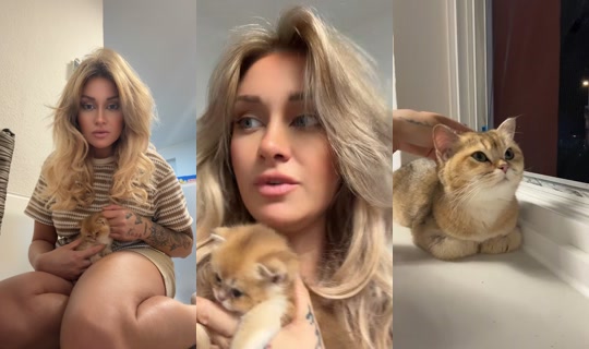 fashion.over2 TikTok Live — Aug 24, 2026, 6:58 PM