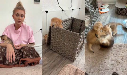 fashion.over2 TikTok Live — Aug 31, 2026, 10:14 AM