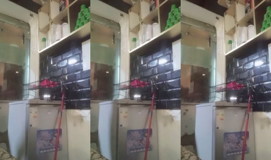 fatimaelzahra258 TikTok Live — Aug 18, 2026, 11:42 PM