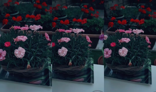 fatos.rotterdam TikTok Live — Jul 14, 2026, 8:27 PM