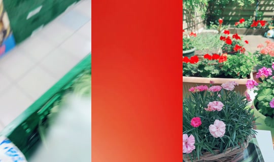 fatos.rotterdam TikTok Live — Jul 15, 2026, 10:16 AM