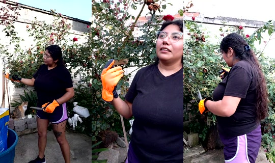 firdous2505 Recorded on Jul 23, 2026, 11:04 PM