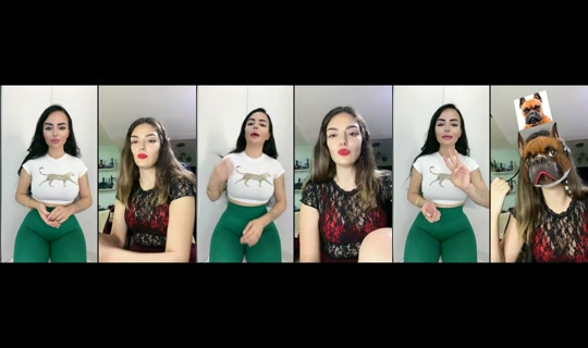 gamzedurmussss21 TikTok Live — Aug 14, 2026, 11:55 AM