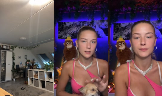 german_potatoo_ TikTok Live — Jul 14, 2026, 10:32 AM