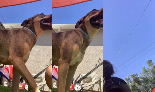 ggenevieveev TikTok Live — Jul 14, 2026, 5:59 PM