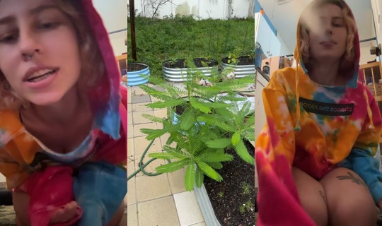 goblinjoyy TikTok Live — Aug 3, 2026, 7:42 PM