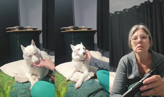 grandmashell1974 TikTok Live — Jul 12, 2026, 2:06 AM