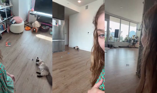 griffin_carsnwiei TikTok Live — Aug 6, 2026, 7:17 AM