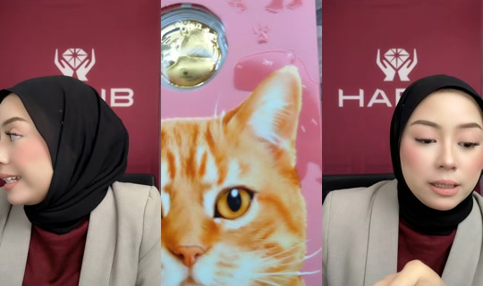 habibjewelsofficial TikTok Live — Aug 31, 2026, 1:13 AM