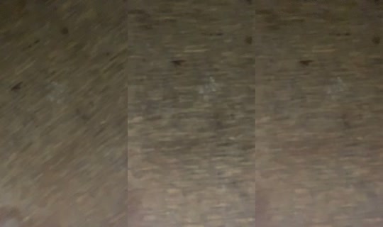 halligator07 TikTok Live — Sep 17, 2026, 11:55 PM