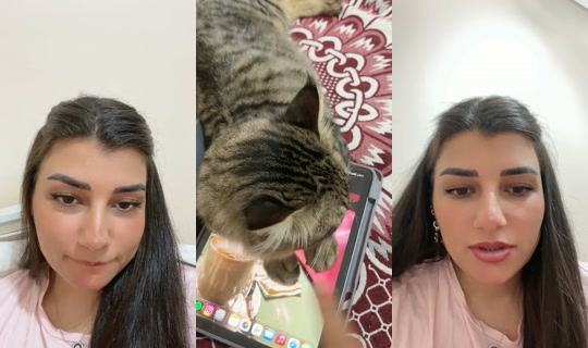 haniabeso0 TikTok Live — Jul 13, 2026, 7:50 PM