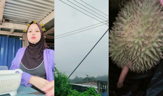 haslizah0 TikTok Live — Aug 27, 2026, 10:44 PM