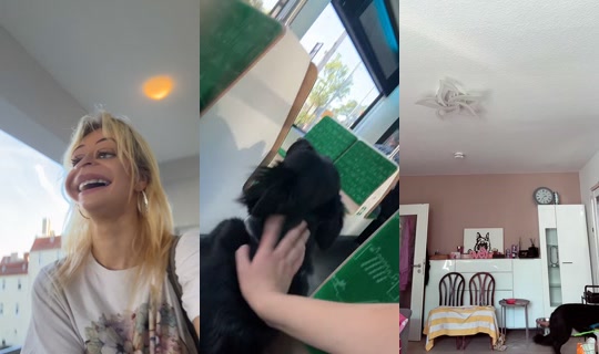 heidii1942 TikTok Live — Aug 21, 2026, 6:52 AM