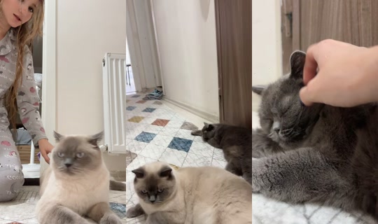 hellceyn TikTok Live — Sep 16, 2026, 3:26 PM